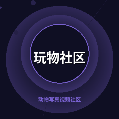 玩物社区